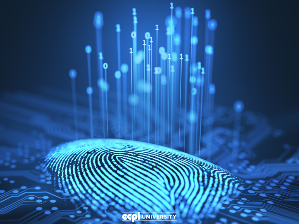 digital-forensics-technology-what-is-this-field-all-about